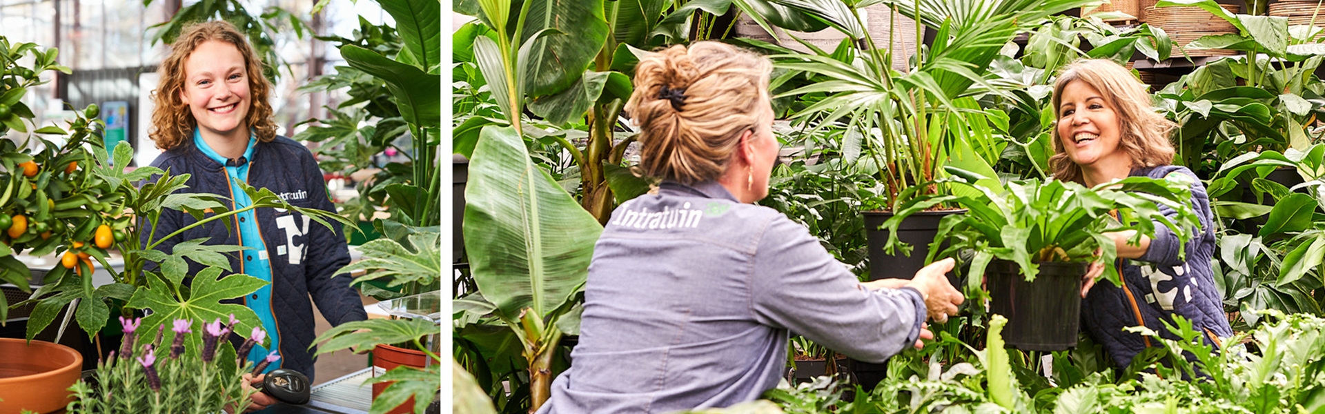 Werken bij Intratuin - Beeld 2