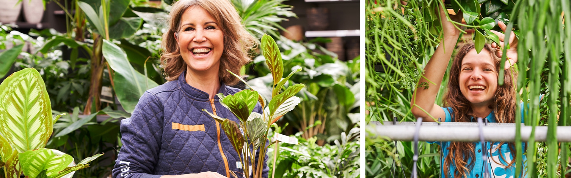 Werken bij Intratuin - Beeld 1